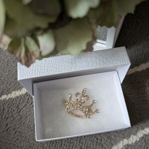 NWT Crown Brooch
